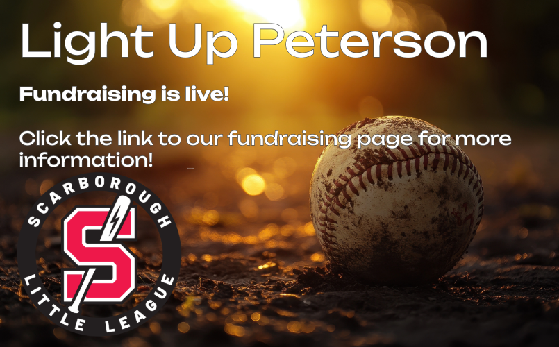 Donate to the Peterson Lights Campaign!